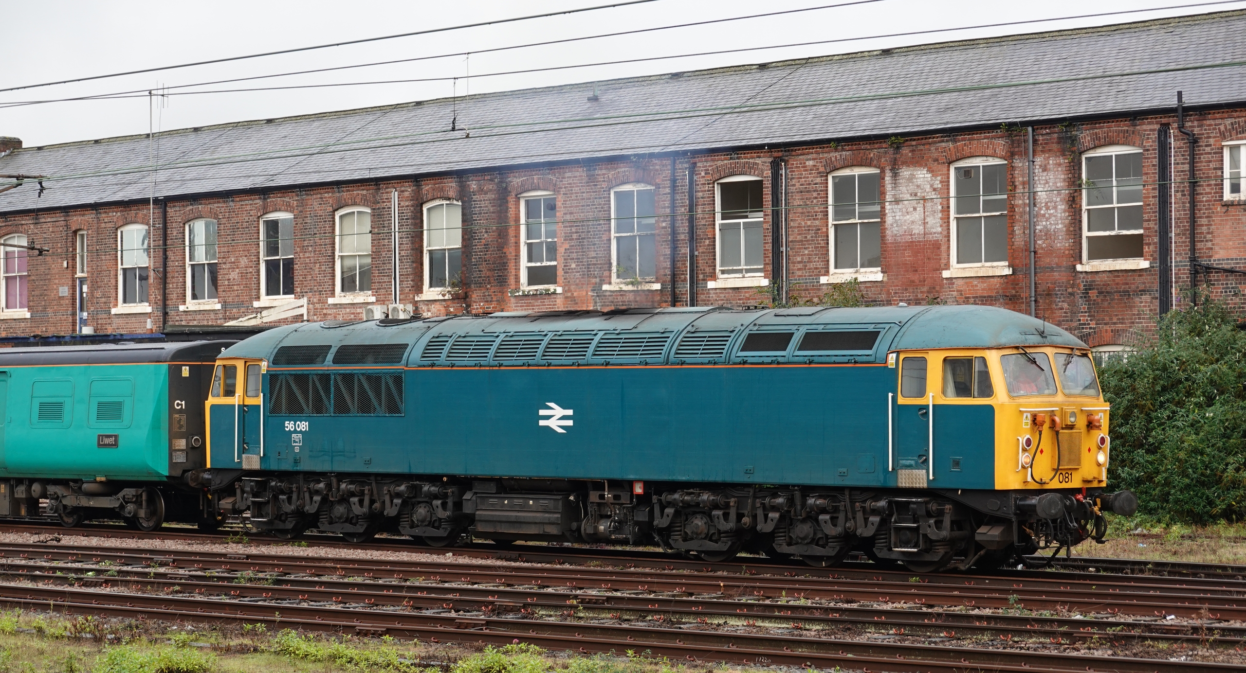 56081 in BR Blue livery in October 2023 at Doncaster