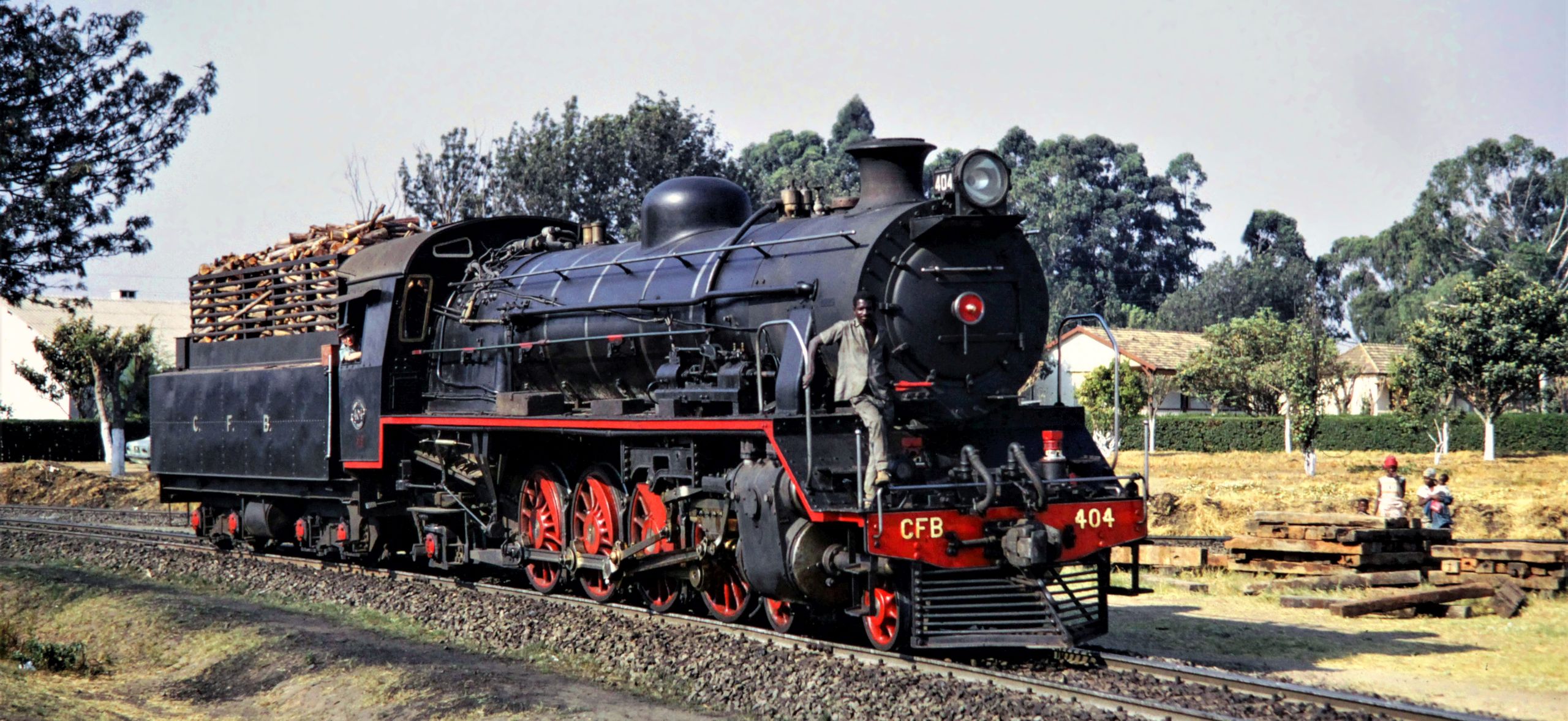 No. 404 with a large heap of eucalyptus wood in the tender