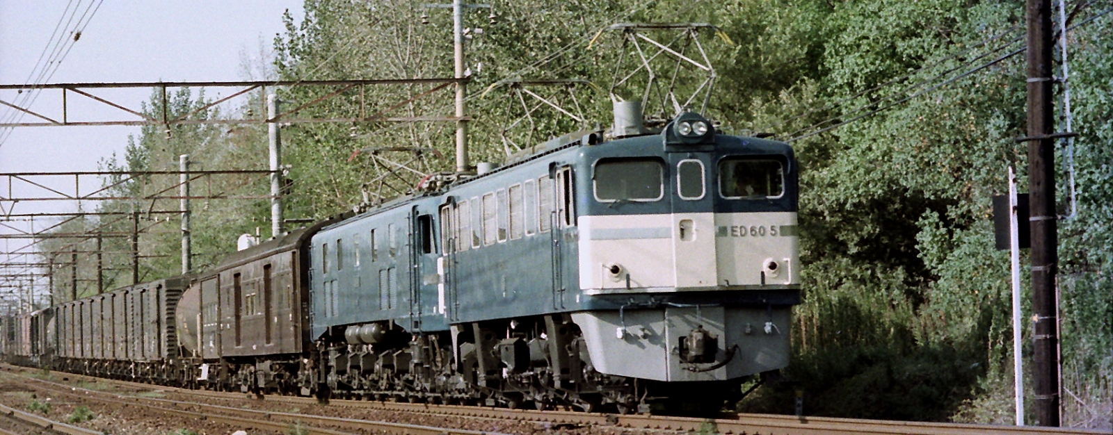 An ED60 together with an EF58 in 1978 in front of a freight train